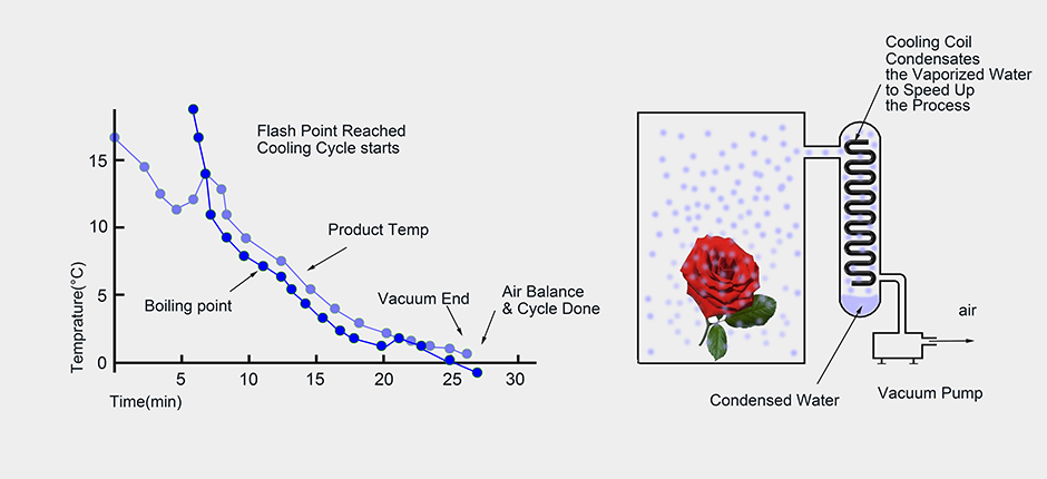 1587459954798104.jpg 鮮花2.jpg