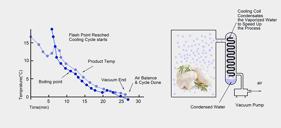 1587459739584329.jpg 蘑菇2.jpg