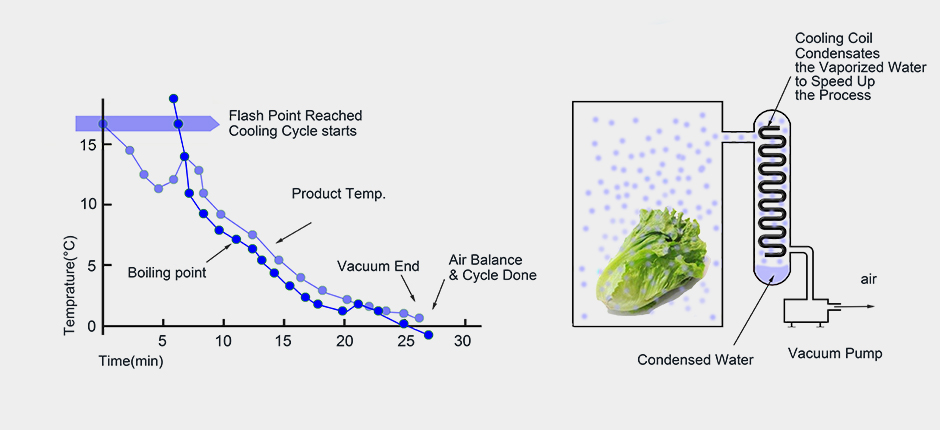 1587452172650856.jpg quxianlu -vegtables.jpg